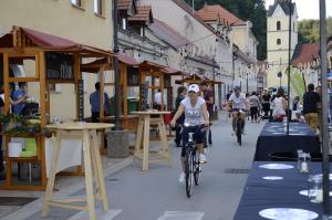 Oživljanje mestnega jedra Krškega