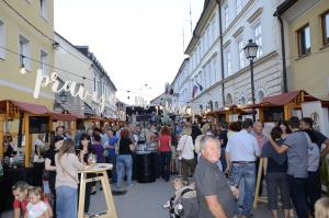Oživljanje mestnega jedra Krškega