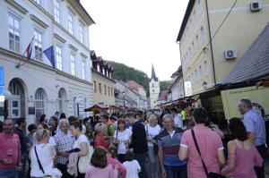 Oživljanje mestnega jedra Krškega