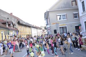 Oživljanje mestnega jedra Krškega