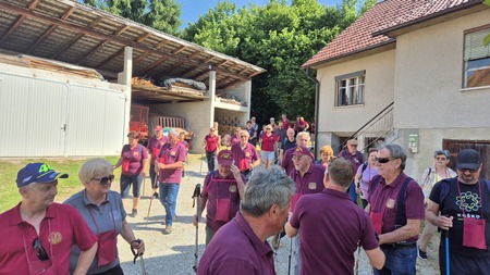 8. tradicionalni vinogradniški pohod