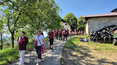 8. tradicionalni vinogradniški pohod