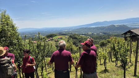 8. tradicionalni vinogradniški pohod